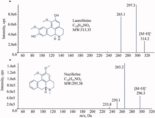 Figure 1. Chemical structures and MS/MS spectra of laurolitsine and nuciferine.