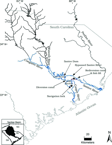 FIGURE 1 Locations (stars) at which American shad were sampled in the Santee–Cooper River basin and the Pee Dee River.