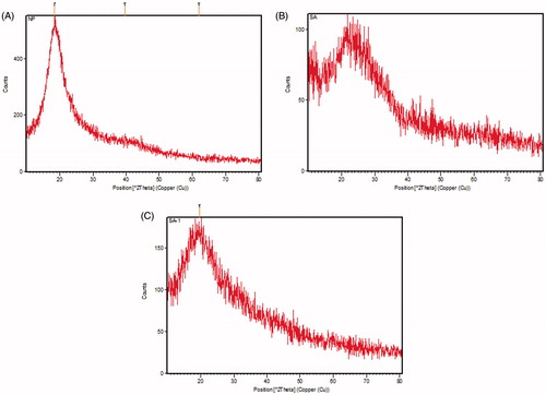 Figure 3. PXRD pattern of (A) phytol, (B) PLGA NPs alone and (C) phytol-PLGA NPs.