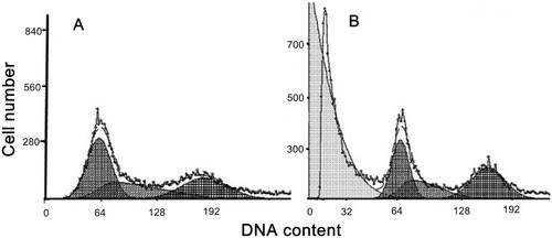 Figure 5. Cell cycle analysis. A: control cells; B: treated cells by 50 µM compound 14 for 24 h.