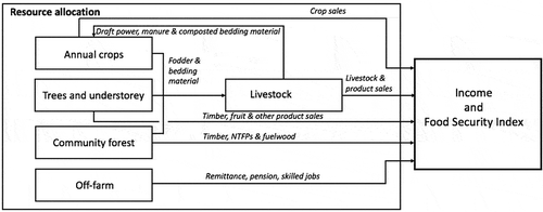 Figure 2. Flow and interaction between modules, or livelihood sectors, in the EnLiFT model version 1.0 constrained by household capital and allocation