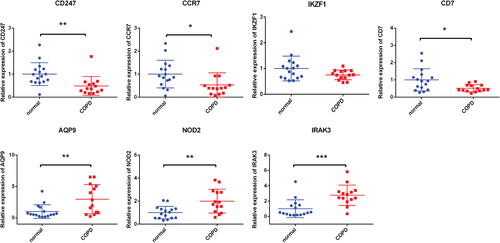 Figure 7. Expression validations of CD247, CCR7, IKZF1, CD7, AQP9, NOD2 and IRAK3 by RT-PCR. *p value < 0.05; **p value < 0.01; ***p value < 0.001.