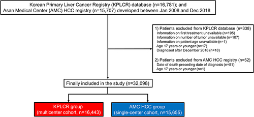 Figure 1 Patient flowchart of the study population.