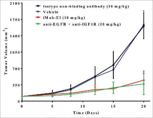 Figure 11. In vivo efficacy of iMab-EI using a xenograft mouse model of a patient derived non-small cell lung cancer. iMab-EI (red curve), isotype non-binding antibody (black curve) and combination of the anti-EGFR and anti-IGF1R antibodies (green curve) were dosed at 10 mg/kg 2 times weekly for 2 weeks. Vehicle-treated mice (blue curve) were used as negative control.