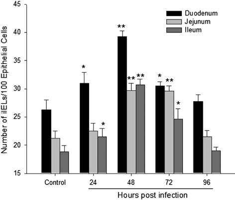 Figure 2. Number of intestinal IEL in the duodenum, jejunum and ileum at 24, 48, 72 and 96 h post NDV infection. Significant difference from the control at *P < 0.05 and **P < 0.01.