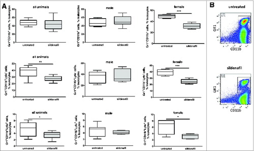 Figure 5. Sildenafil decreases the frequency of MDSC in tumors from PDAC-bearing mice. (A), the frequency of tumor-infiltrating total MDSC and their subpopulations upon the treatment with sildenafil is shown as the percentage within live leukocytes. Data from two independent experiments are presented (n = 12–14), *p < 0.05, **p < 0.01, ***p < 0.001. (B), representative FACS pictures for a whole MDSC population from tumor-bearing mice without and with sildenafil treatment.