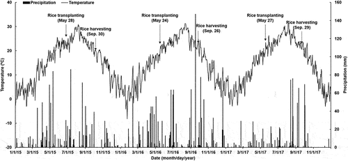 Figure 1. Mean daily precipitation and air temperature during the rice cultivation year.