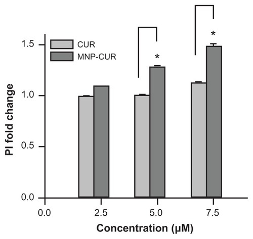 Figure A3 Curcumin-loaded magnetic nanoparticle formulation increases MDA-MB-231 cell death. Cells (2 × 105) were seeded in six-well plates and treated for 24 hours with 2.5, 5, and 7.5 μM of curcumin or curcumin-loaded magnetic nanoparticles. The cells were collected both live and dead (floating) and incubated at room temperature in the dark with 5 μL propidium iodide for 20 minutes in 2 mL medium containing hydroxyethyl piperazineethanesulfonic acid without phenol red. After completion of the incubation period, propidium iodide stain was quantified for 5000 cells using an Accuri® C6 flow cytometer (BD Accuri Cytometers, Ann Arbor, MI) in the FL2 channel. The experiment was conducted in triplicate.Abbreviations: CUR, curcumin; MNP-CUR, curcumin-loaded nanoparticles; PI, propidium iodide.