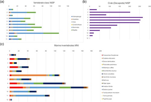 Figure 6. Distribution of faunal material according to excavation layer within Unit 71; (a) the NISP of vertebrate classes; (b) crab (Gecarcindae and Ucididae) NISP; (c) MNI of marine invertebrate species.