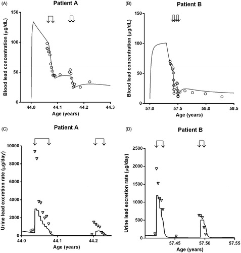 Figure 2. Simulations of the blood [Patient A (panel 2A) and Patient B (panel 2B)] and urine [Patient A (panel 2C) and Patient B panel 2D)] lead concentrations by the CLT model, in two patients. Patient A is an example of acute lead intoxication by traditional remedies and Patient B an example of chronic occupational lead exposure. Symbols represent the measured values (“○” for blood lead concentrations) and “∇” for urine lead concentrations) and the continuous lines represent the predictions of the CLT model. The arrows indicate the start and end of each chelation course.