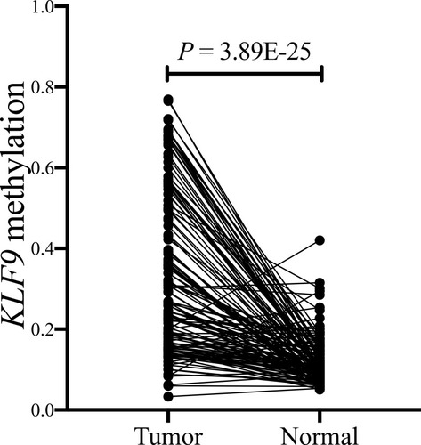 Figure 8 KLF9 methylation levels in our validation dataset.