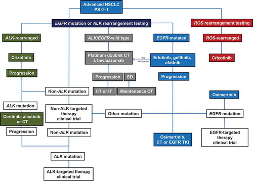 Figure 2. Flow chart recommending where mutational analysis can fit (white boxes) into current NSCLC treatment algorithms to direct therapy first line or in resistant disease; current recommended treatment flow is in shaded boxes and is based on current ASCO and NCCN Guidelines [Citation8]. CT: chemotherapy; IT: immunotherapy; NGS: next-generation sequencing; PS: performance status; SD: stable disease; TKI: tyrosine kinase inhibitor.