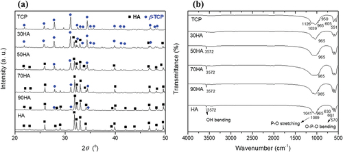 Figure 4. (a) XRD patterns and (b) FT-IR spectra for different ratios of HA/β-TCP mixture (CPM).