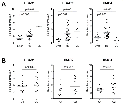 Figure 2. (A) HDAC expression levels of normal liver, primary HB and liver tumor cell lines (CL). Expression of class I and class IIa HDACs were measured by qRT-PCR and normalized to the expression of the house-keeping gene TBP. Statistical significance was calculated for differences between normal liver tissue and tumors and tumor cell lines using t-test. (B) HDAC expression levels of primary HB after their stratification as standard (C1) or high risk HB (C2) according to the 16-gene HB classifier. Statistical significance was calculated for differences between C1 and C2 tumors using t-test.