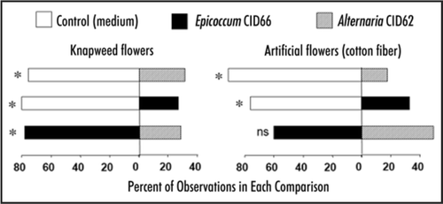 Figure 1 Results of 6 dual-choice experiments to determine the settling behavior of Larinus minutus on individual flowerheads or artificial flowers of spotted knapweed with and without inoculation by endophytes. Bars show the relative proportion of observations of weevils on the two treatments being compared over a 2-hour period. Asterisks indicate whether the results depart from equal proportions on each treatment (χ2, p = 0.05).