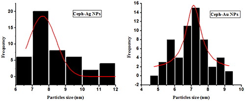 Figure 10. Particle size analyses of Ceph-Ag and Ceph-Au NPs using TEM images.