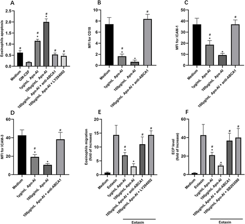 Figure 2 The regulation of eosinophils by Apo-AI. (A) The eosinophils apoptosis regulated by Apo-AI and related proteins (GM-CSF, 10 ng/mL). (B–D) The mean fluorescence intensity (MFI) of CD18, ICAM-1, and ICAM-3 of eosinophils regulated by Apo-AI and related proteins. (E and F) The migration and activation of eosinophils in Transwell system under Apo-AI stimulation. *Compared with Medium groups, P<0.05. #Compared with GM-CSF group (A), P<0.05. #Compared with 100 μg/mL Apo-AI group (C–F), P<0.05.