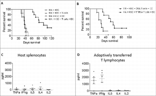 Figure 3. In vitro expanded antitumor T cells are efficacious against intracranial glioma. (A) Prolonged survival in mice treated with ACT. Mice with established intracranial glioma received ACT, in the context of MA + HSC transplant. Mice received either MA + HSC alone, MA + HSC + adoptive transfer of TTRNA T cells, MA + HSC + DC vaccine, or MA + HSC + TTRNA T cells + DC vaccine. (B) Glioma bearing mice received ACT using either in vitro expanded OVA specific T cells followed by OVA-RNA pulsed DC vaccine, or tumor specific T cells (TTRNA) followed by total tumor RNA-pulsed DC vaccination. Antitumor efficacy was only observed using tumor-specific TTRNA T lymphocytes. ACT was conducted using TTRNA T cells from DsRed+ mice. Host vs. adoptively transferred lymphocytes in ACT treated mice were FACS sorted as DsRed− or DsRed+ lymphocytes respectively (n = 5 animals). (C) Cytokine secretion of host splenocytes after co-culture against glioma targets. (D) TNFα and IFNγ secretion of adoptively transferred antitumor T lymphocytes upon recognition of KR158B tumor cells.