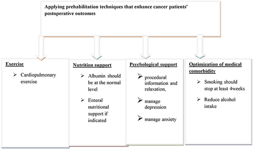 Figure 3 Components of perioperative prehabilitation of surgical cancer patients.