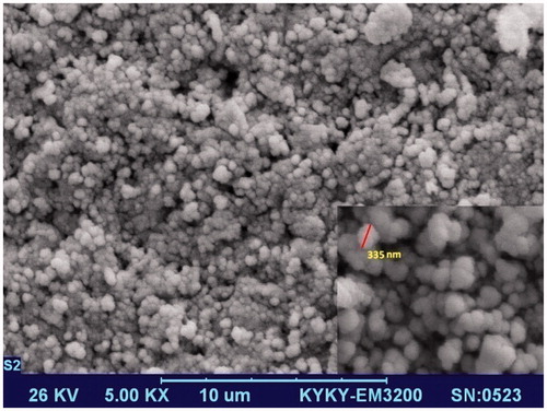 Figure 1. Scanning electron micrograph of agar nanospheres loaded with bupropion HCl.