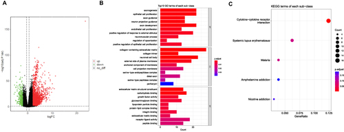 Figure 3 Identification of DEMPRGs and enrichment analysis (A) Volcano plot of DEGs between two clusters with different MP-related gene expression. The red and green points represent up- and down-regulated genes with statistical significance, respectively. (B) The bar plot of enriched Gene Ontology (GO) terms. BP indicates biological process, CC indicates cellular component, and MF indicates molecular function. The length of each column represents the count of genes; the shade of color represents the p value. (C) KEGG analysis of DEGs that were upregulated of DEGs.