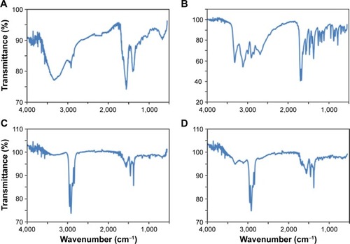 Figure 2 The Fourier transform infrared spectroscopy spectra of CdTe/ZnSe quantum dots (QDs) conjugated with adenine, guanine, cytosine, and thymine are shown in (A–D), respectively.Note: The presence of the bases was proved by the presence of the characteristic peaks in the spectra.