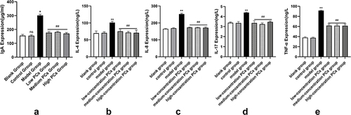 Figure 4 Levels of inflammatory factors in different groups. (a-e) IgA, IL-4, IL-8, IL-17, TNF-α expression levels of different groups.