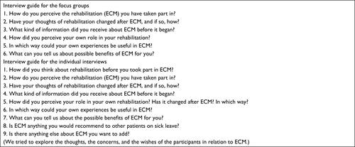 Figure S1 Interview guides used for the groups and individually.Abbreviation: ECM, early collaboration work model.