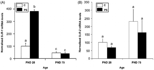 Figure 4. Effect of prenatal stress on the testicular steroid 5α-reductase isoform 1 (A) and 2 (B) mRNA expression in 28- and 75-day-old rats. C, control; PS, prenatal stress; PND, postnatal day. The mRNA levels determined by real-time PCR are expressed relative to the housekeeping gene beta-2 microglobulin mRNA expression as arbitrary units and as % of PND 28 control rats. Values are reported as mean ± SEM and different letters depict significant differences between groups (two-way ANOVA followed by simple effects ANOVA analyses: p < 0.001 for C versus PS rats at PND 28; p < 0.01 for age factor effects in C group; p < 0.001 for age factor effects in PS group; n = 4–5).