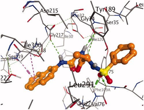 Figure 1. A stereoview showing the active site of the 7g-2Y2G complex. 7g is shown in ball-and-stick model (orange). The amino acids are shown as lines (black). Hydrogen and π-H bonds between 7g and the protein are shown as green and purple dotted lines, respectively.