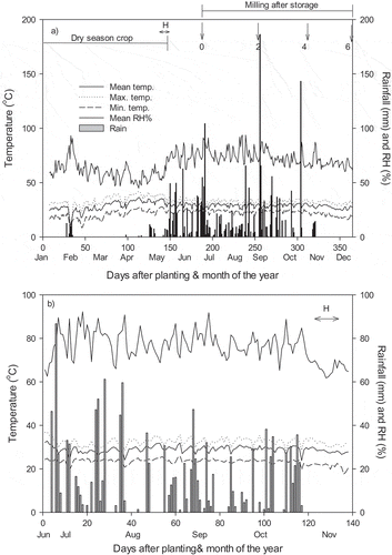 Figure 1. Daily mean, maximum and minimum air temperature, rainfall and relative humidity during the dry season crop (December–May), harvesting (H), storage and time of milling (indicated by arrows) from June to December, 2016 (a) and during the crop growing season in wet season 2017 (b).