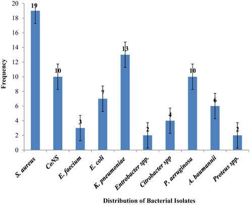 Figure 1 Frequency of Bacterial Isolates from Infection Suspected Orthopedic Surgical Wounds at Arba Minch General Hospital.
