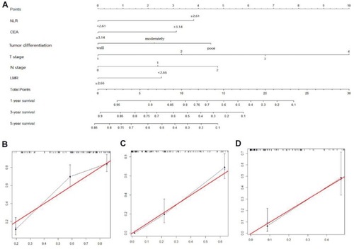 Figure 4 Nomogram for predicting 1-, 3-, and 5-year OS of GBC patients after radical cholecystectomy (A). Calibration plot of the nomogram for 1-year (B), 3-year (C), and 5-year survival (D). The red line represents the “ideal” line of a perfect match between predicted and observed survival. The black line indicates the performance of the proposed nomogram. The X-axis is nomogram predicted probability of survival and Y-axis is actual survival. Black dots are sub-cohorts of the data set; vertical bars represent 95% confidence interval.