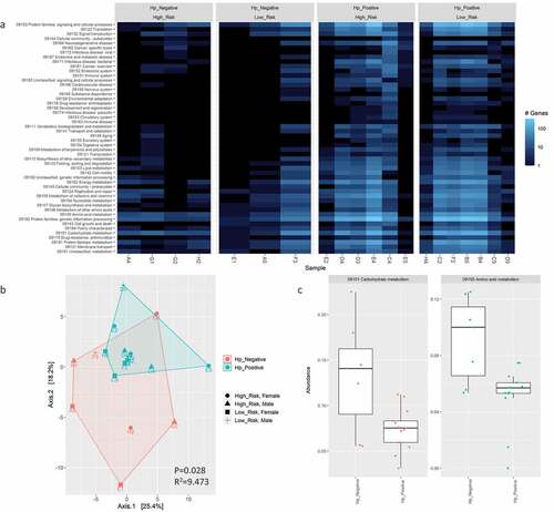 Figure 9. Comparison of KEGG metabolism pathway abundance in annotated bacterial genes by WMS after contig assembly with metaSpades using a heatmap of the 50 most abundant features (A) and PCA plot of Aitchison distance for beta diversity comparisons (B) between H. pylori-positive versus -negative samples. Statistical analysis for beta diversity was performed using PERMANOVA to determine significance differences (P-value) and percentage of the variance explained (R2) between the groups. C) Differential abundance analysis of KEGG pathways in annotated bacterial genes between H. pylori status determined using Welch’s t-test and generalized linear model (GLM) on centered log-ratio (clr) transformed abundances with a false discovery rate (FDR) correction for P-values using the Benjamini-Hochberg (BH) method. The abundance of differentially expressed features with a FDR≤0.05 for both tests is shown.