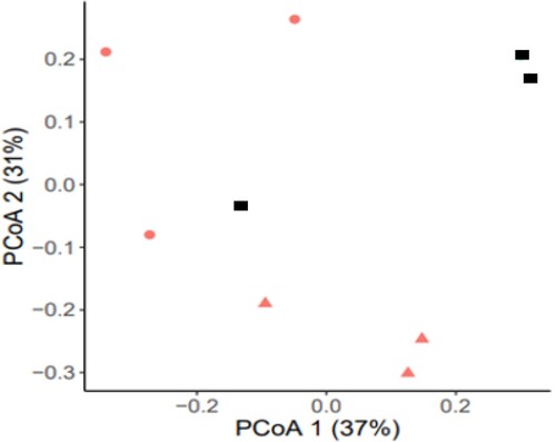 Figure 3. The PcoA of the Bray–Curtis distances for control, drought and drought with SAP addition treatments. Values are given as the mean of three independent replicates. Filled triangle, normal wattering conditions; filled circle, drought condition; filled square, drought with 0.8% SAP.