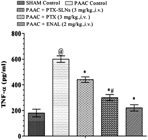 Figure 9. Effect of pharmacological interventions on left ventricular TNF-α level @p < 0.05 versus Sham control, *p < 0.05 versus PAAC control, #p < 0.05 versus PAAC + PTX (3 mg kg−1). PAAC, partial abdominal aortic constriction; PTX, pentoxifylline; ENAL, enalapril; PTX + SLNs, nanoparticles of pentoxifylline.