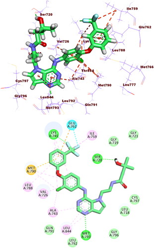 Figure 10. Co-crystallised ligand (TAK-285) docked into the active site of EGFRT790M forming formed 3 HBs with Met793, Ser720, and Lys745 and 14 HIs with Lys745, Glu762, Leu788, Ile759, Leu844, Ala743, Val726, Met790, and Ala743.
