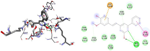 Figure 10 3D (right) and 2D (left) representations of the binding interactions of 11 against β-lactamases (PDB ID: 1IYS).
