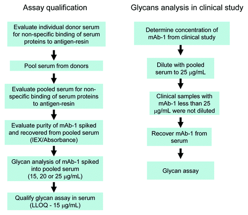 Figure 2. Overview of procedure used for assay qualification and glycan analysis of samples from the clinical study.