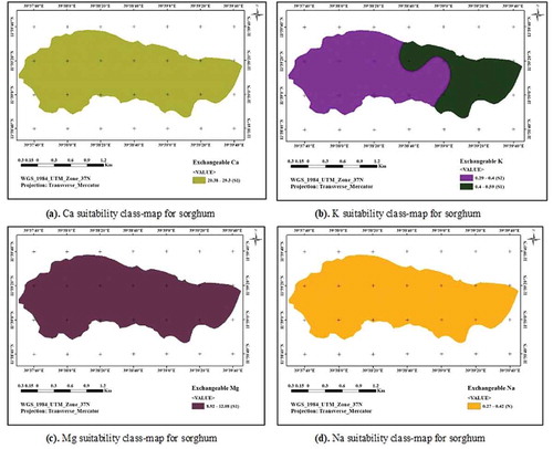 Figure 7. (a)Ca suitability class-map for sorghum. (b) K suitability class-map for sorghum. (c) Mg suitability class-map for sorghum. (d) Na suitability class-map for sorghum