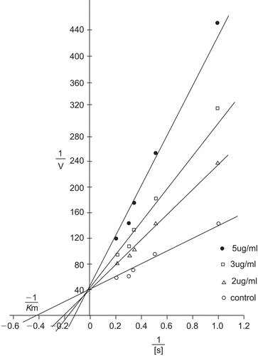 Figure 3.  Lineweaver–Burk plot showing competitive inhibition of XO by allopurinol with varying concentration of xanthine (1–5 µg/mL) and fixed concentration of enzyme (0.0405 U/mL) in potassium phosphate buffer (50 mM, pH 7.4) to a total reaction volume of 3.5 mL.