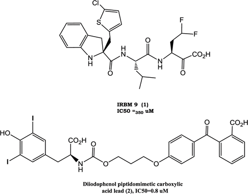 Figure 1.  HCV-protease inhibitors leads.