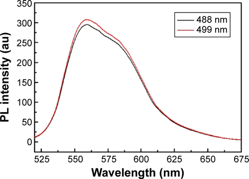 Figure S5 PL spectrum of Dox excited at wavelengths of 488 and 499 nm.Abbreviations: Dox, doxorubicin; PL, photoluminescence.