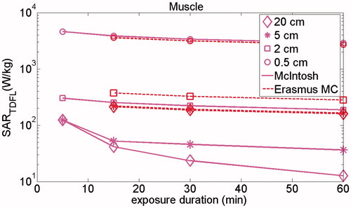 Figure 4. Impact of exposure duration on the SARTDFL after 60, 30, 15 and 5 min exposure in targets of 20, 5, 1 and 0.5 cm diameter in muscle. The results are calculated for only basal (McIntosh) and thermoregulated (Erasmus MC) perfusions, considering 10 min delay in thermoregulatory process of tissue, i.e. there is no thermoregulated perfusion for exposure duration <10 min.