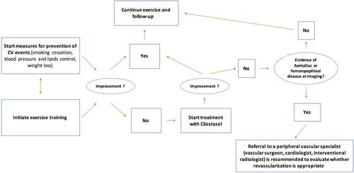 Figure 1 Algorithm for the management of PAD in CKD patients.