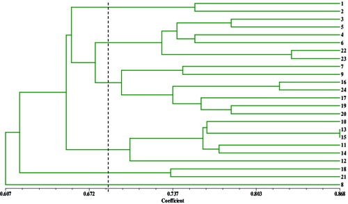 Figure 2. A dendrogram showing the genetic relationships among the 24 genotypes of Malus Mill. constructed with unweighted pair-group method with arithmetic averages and based on Jaccard similarity coefficients from the SRAP molecular markers.