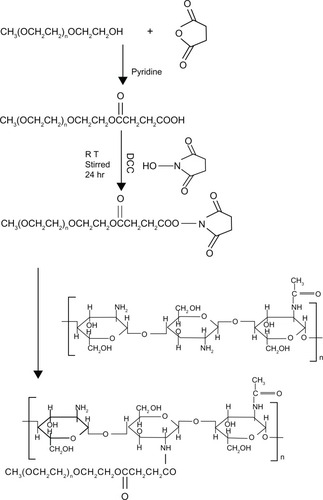 Figure 1 Synthetic scheme for mPEG-CO-(NH-chitosan).Abbreviation: RT, room temperature.