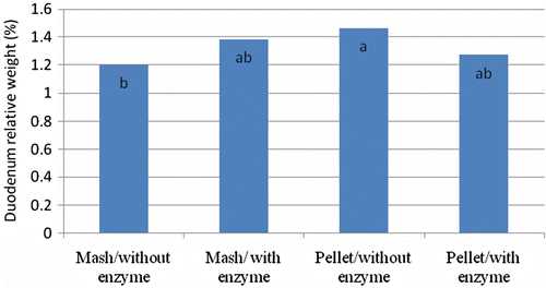 Figure 3.  The interaction between feed processing (mash vs. pelleted) and enzyme supplementation (with or without 0.30 g Grindazym GP 15,000/kg of wheat in complete diet) on duodenum RW (%) at 20 days of age.