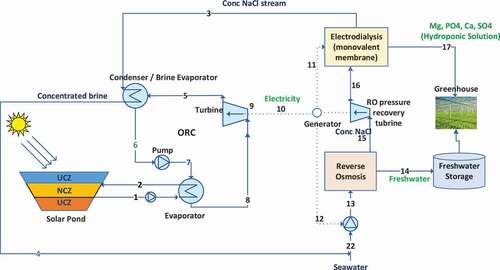 Figure 1. System diagram for solar pond assisted RO-ED system.