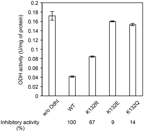 Fig. 3. ODH activity assay with recombinant OdhI proteins. Cell-free extract of C. glutamicum KSY22 (∆odhI) (1 mg) was preincubated with purified Strep-tagged OdhI protein (15.4 μg) at 30 °C for 10 min and subjected to the ODH activity assay. Data are the mean and standard deviation of three independent assays. The difference between the ODH activities with and without OdhI represents the inhibitory effect of OdhI on ODH activity. The inhibitory activity relative to the wild type (WT) variant is shown.